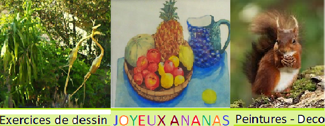 Joyeux Ananas !